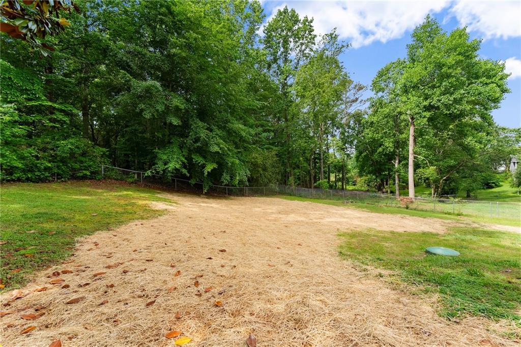 60 Weeping Willow Lane, Dawsonville, Georgia image 41