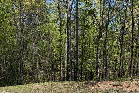 Vacant Land For Sale - Us Hwy 27<br/> Bremen, GA 30113
