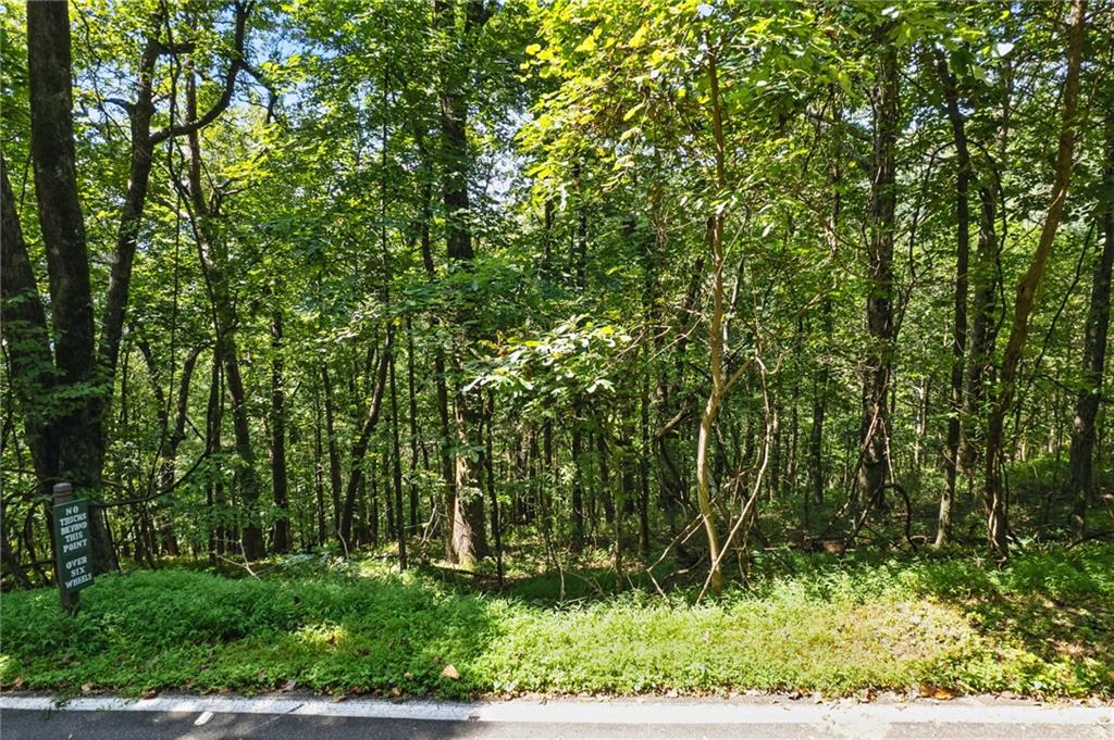 Stunning 1.1 Acre Lot with Long-Range Views - Perched atop Sanderlin Mountain at nearly 3,000 feet in elevation, this beautiful homesite offers rare 60+ mile southwest views and backs up to expansive green space for added privacy. Enjoy cool summer days at this higher elevation while taking in some of the most spectacular vistas in Big Canoe. One of the few remaining long-range view lots available, this property is the perfect place to build your dream mountain retreat. Level 3 soil tests have already been completed by the Seller, making the building process even easier. Buyer to verify all information and dimensions deemed important.