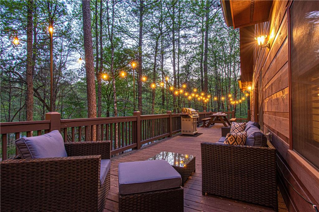 49 Zion Court, Ellijay, Georgia image 26