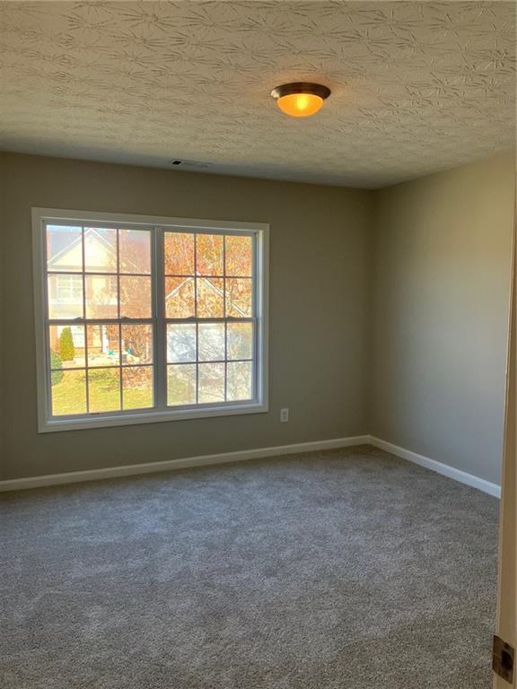 295 Laurelton Circle, Lawrenceville, Georgia image 20