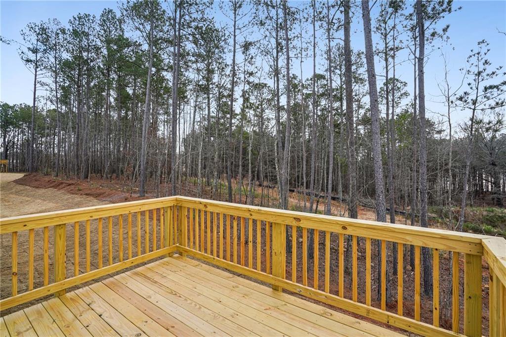 7256 Eton Lane, Locust Grove, Georgia image 37