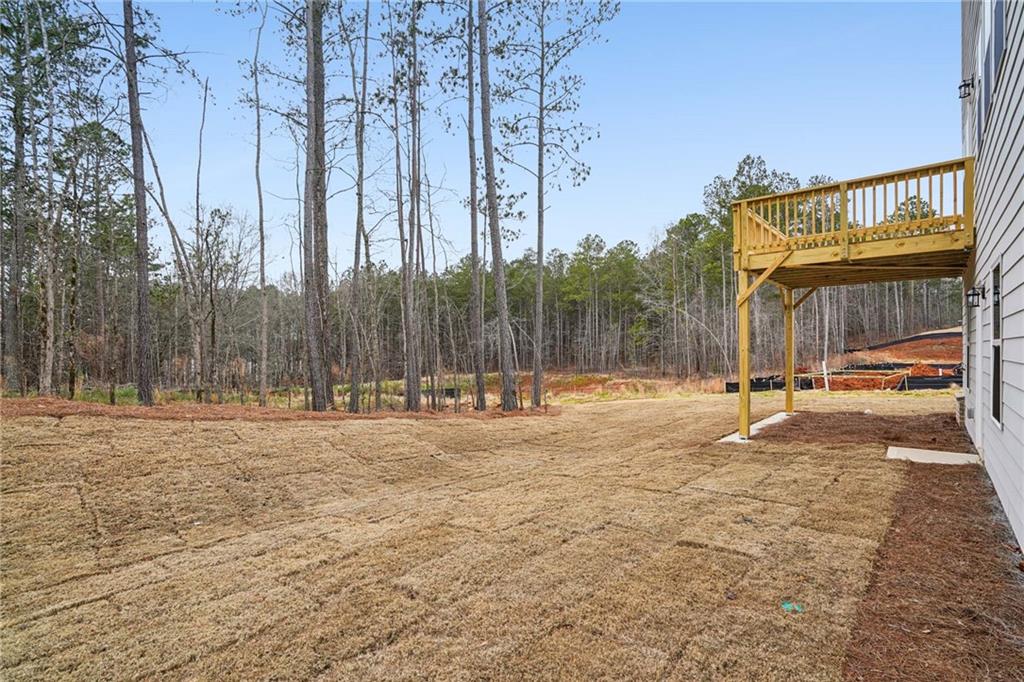 7256 Eton Lane, Locust Grove, Georgia image 36