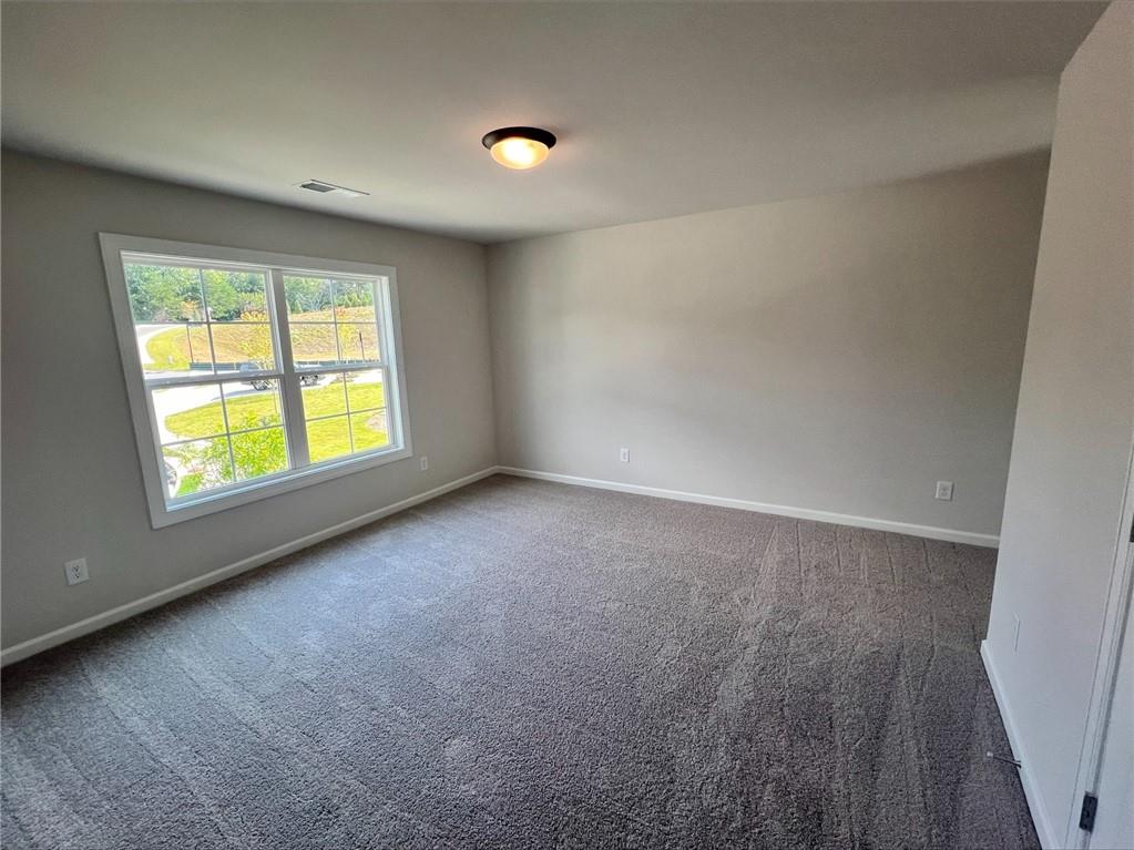 219 Willow Street, Canton, Georgia image 12