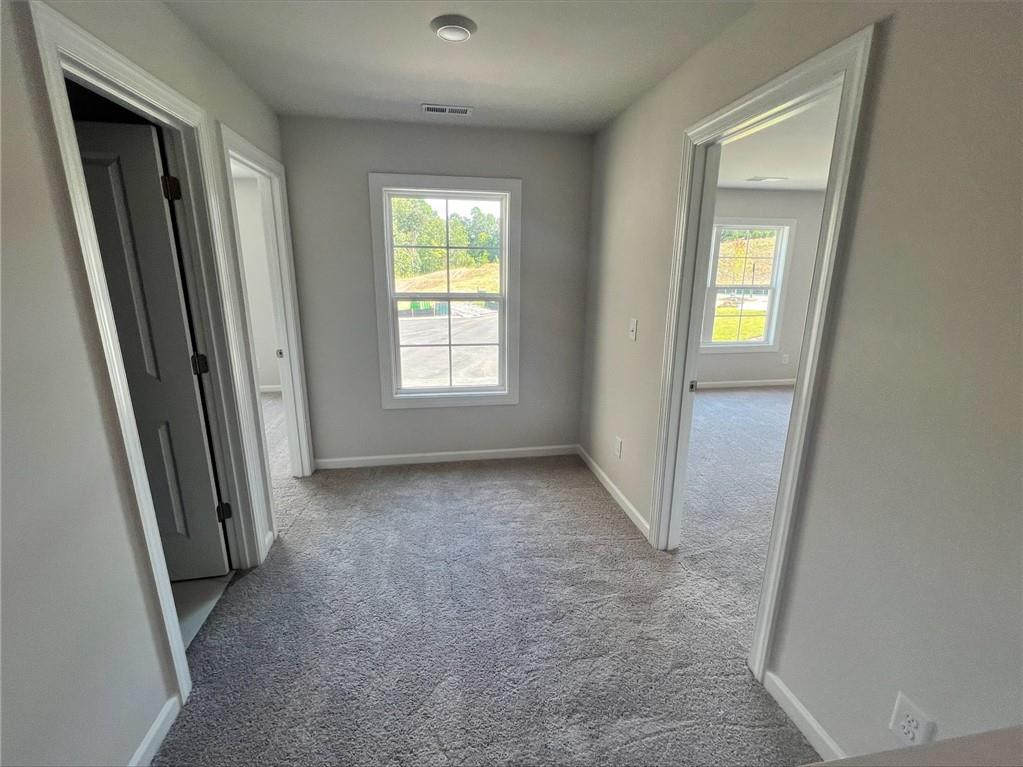 219 Willow Street, Canton, Georgia image 15