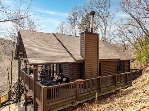 223 Novena Court Ellijay GA 30540