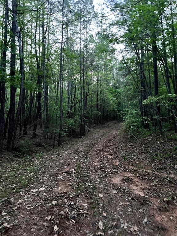 J T Elder Road, Watkinsville, Georgia image 6