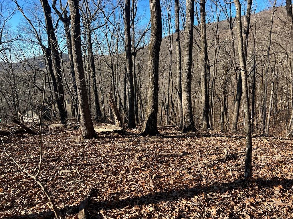 4548 Sassafras Mountain Trail