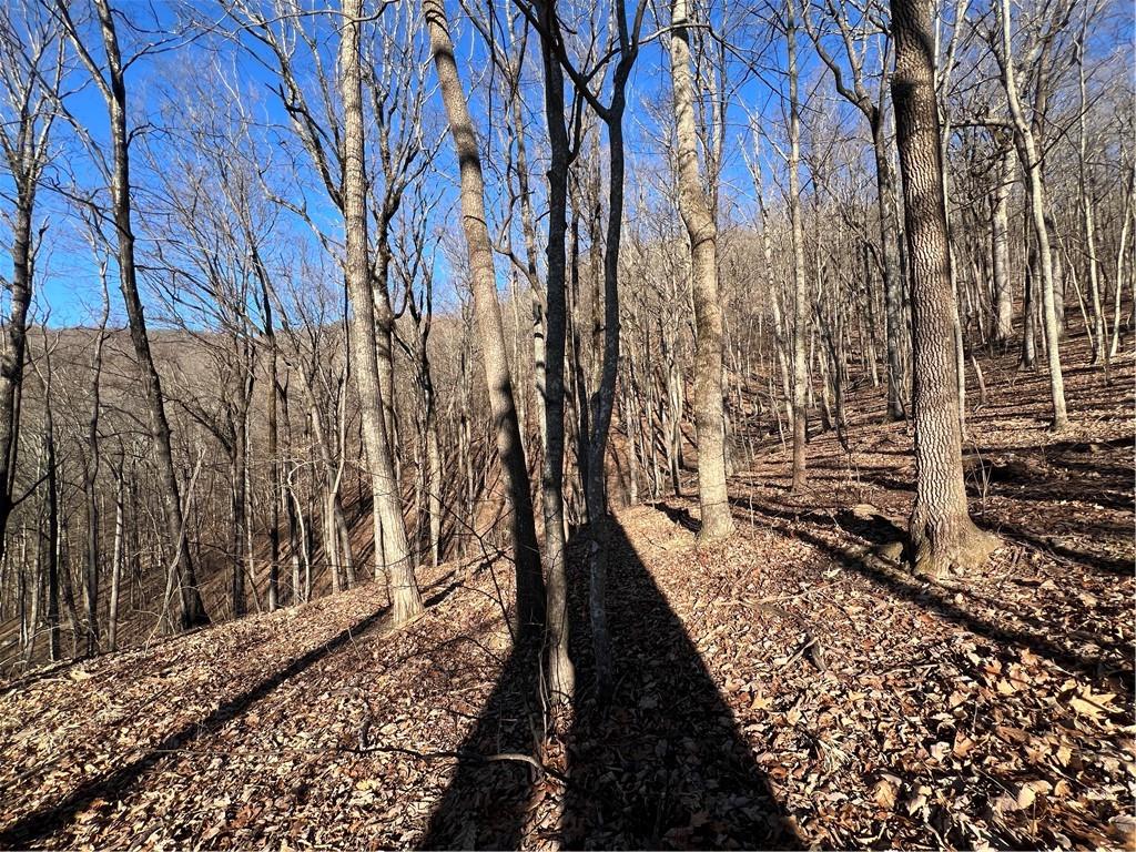 4548 Sassafras Mountain Trail