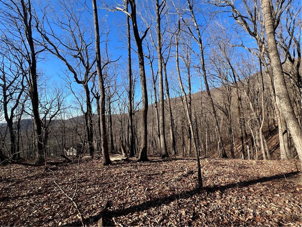 4548 Sassafras Mountain Trail