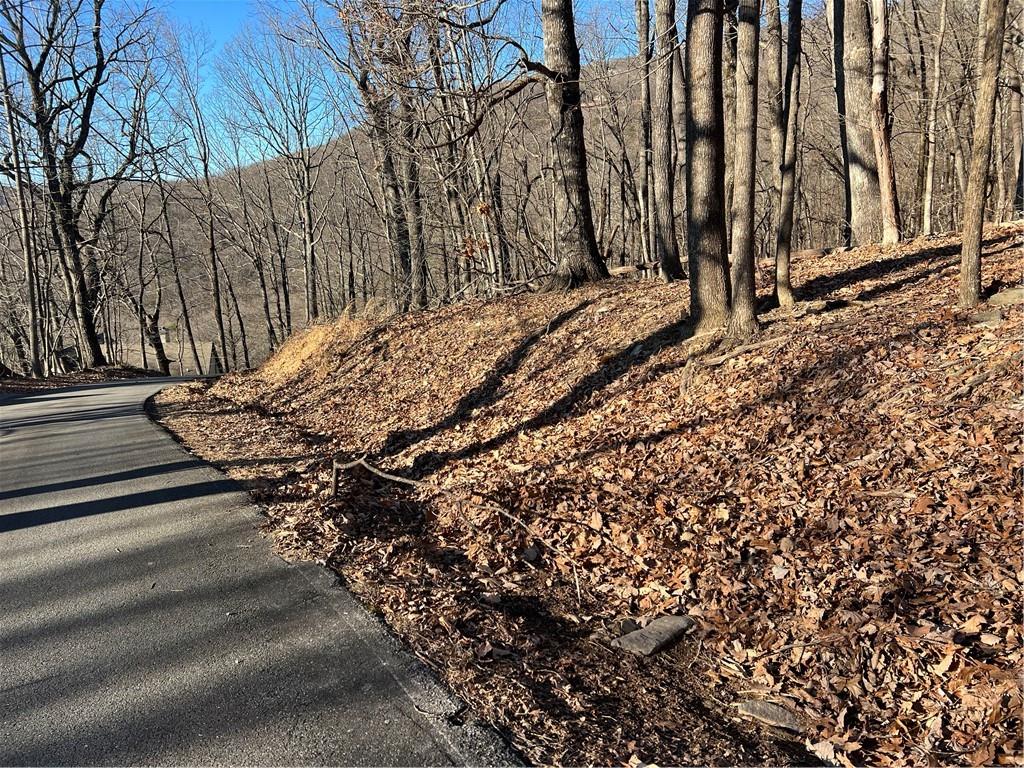 4548 Sassafras Mountain Trail