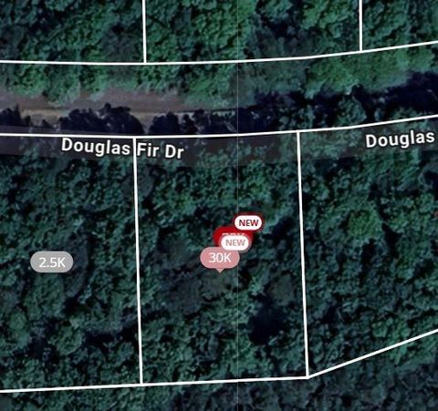 Vacant Land For Sale - 105 Douglas Fir Drive<br/> Waleska, GA 30183