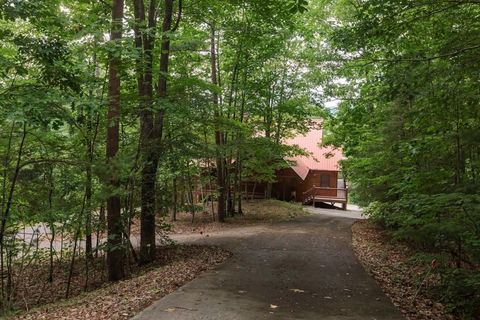 A home in Mineral Bluff