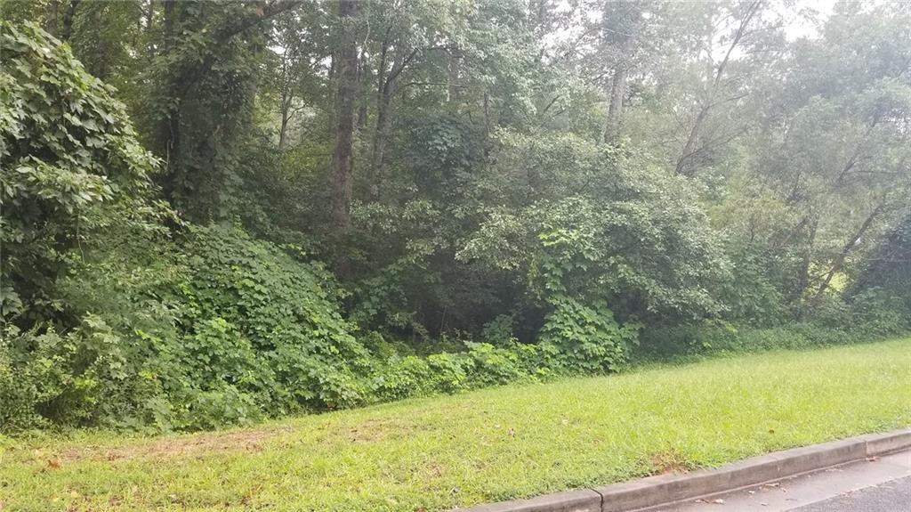 Dixie Lake Road, Union City, Georgia image 5