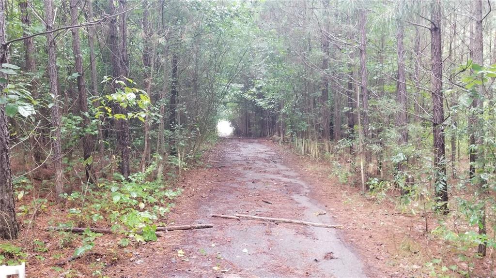 Dixie Lake Road, Union City, Georgia image 10