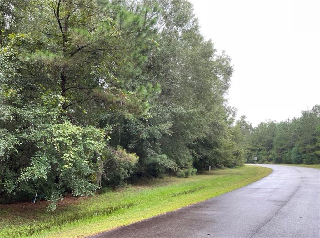 La Sole Lane, Waverly, Georgia image 1