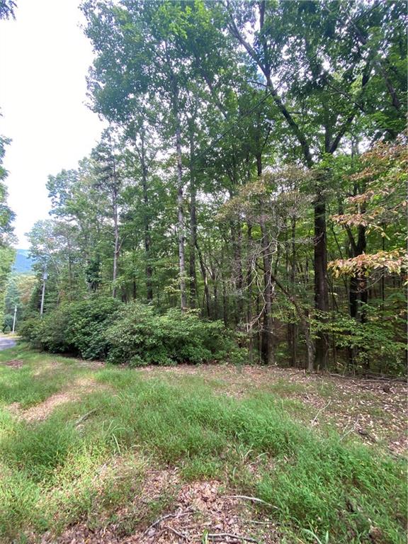 Valley View Road, Ellijay, Georgia image 6