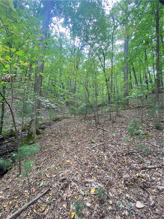 Valley View Road, Ellijay, Georgia image 3