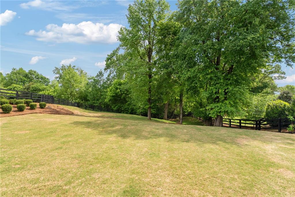721 Paint Horse Drive, Canton, Georgia image 11