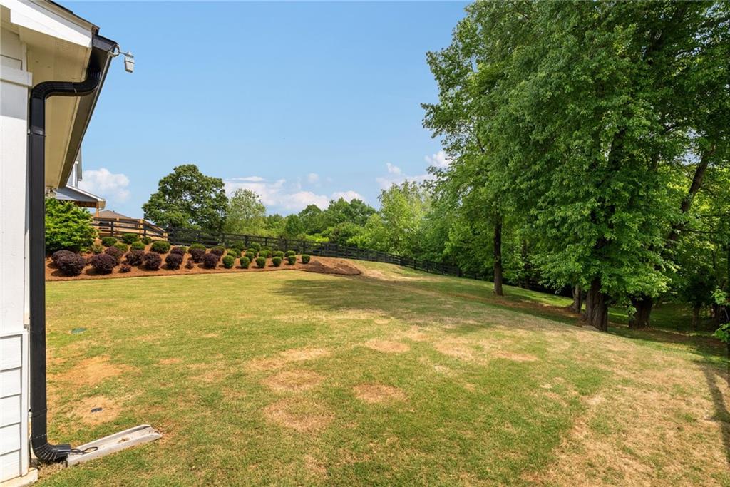 721 Paint Horse Drive, Canton, Georgia image 12