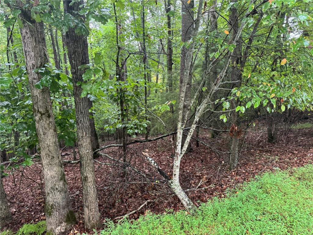 NO HOA!!! Exceptional opportunity in the prestigious Enchanted Woods community! This 2.04-acre wooded homesite offers gentle slopes, privacy, and prime buildability just minutes from downtown Blairsville. Located near Lake Nottley, this parcel is surrounded by upscale homes and features paved roads, and available utilities. Whether you're planning a custom retreat or a savvy investment, this lot delivers location, luxury, and land in one package.