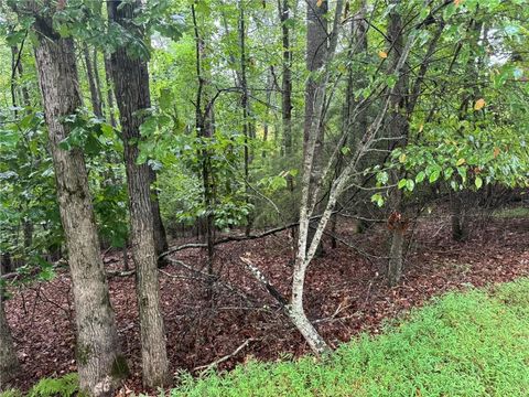 Vacant Land For Sale - Enchanted Woods Drive<br/> Blairsville, GA 30512