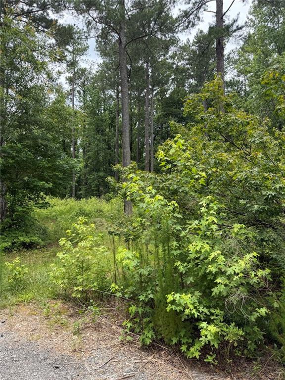 1930 Locust Grove Road