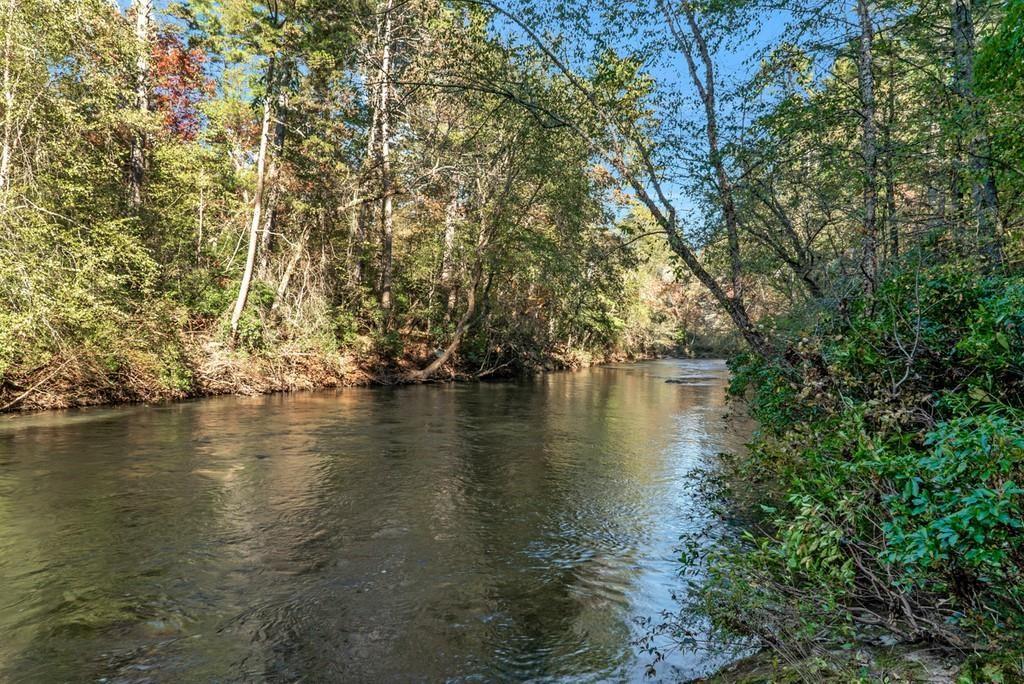- River Forest Run