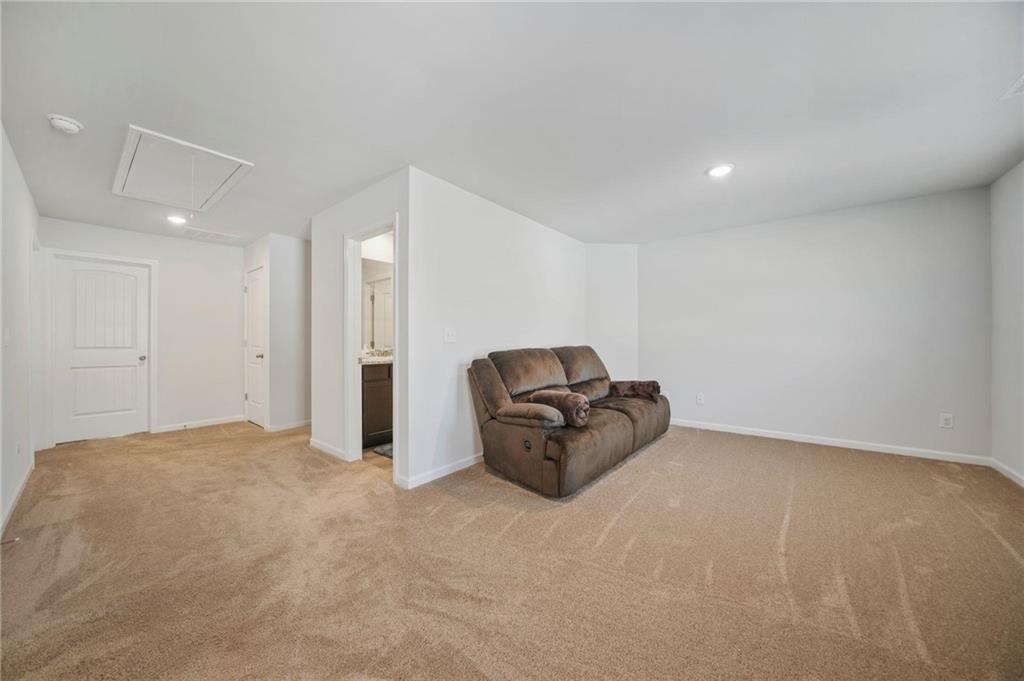 13699 Inman Road, Hampton, Georgia image 36