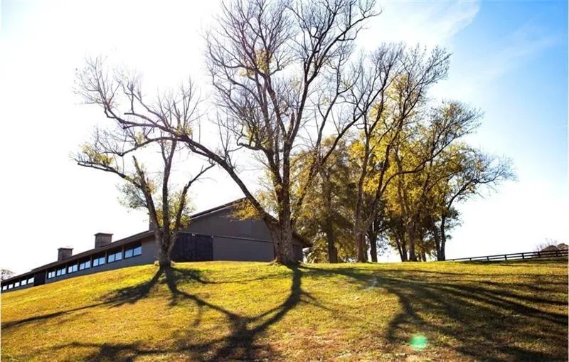 Greenville, Georgia 30222, United States, 6 Bedrooms Bedrooms, ,6 BathroomsBathrooms,Land,Active,61784