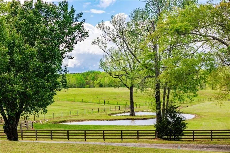 Greenville, Georgia 30222, United States, 6 Bedrooms Bedrooms, ,6 BathroomsBathrooms,Land,Active,61784