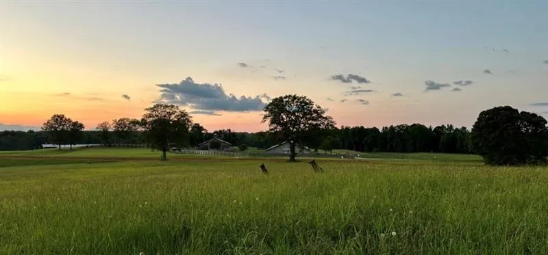 Greenville, Georgia 30222, United States, 6 Bedrooms Bedrooms, ,6 BathroomsBathrooms,Land,Active,61784