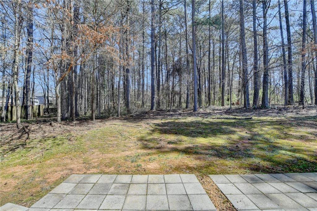 4654 Webster Way, Acworth, Georgia image 36