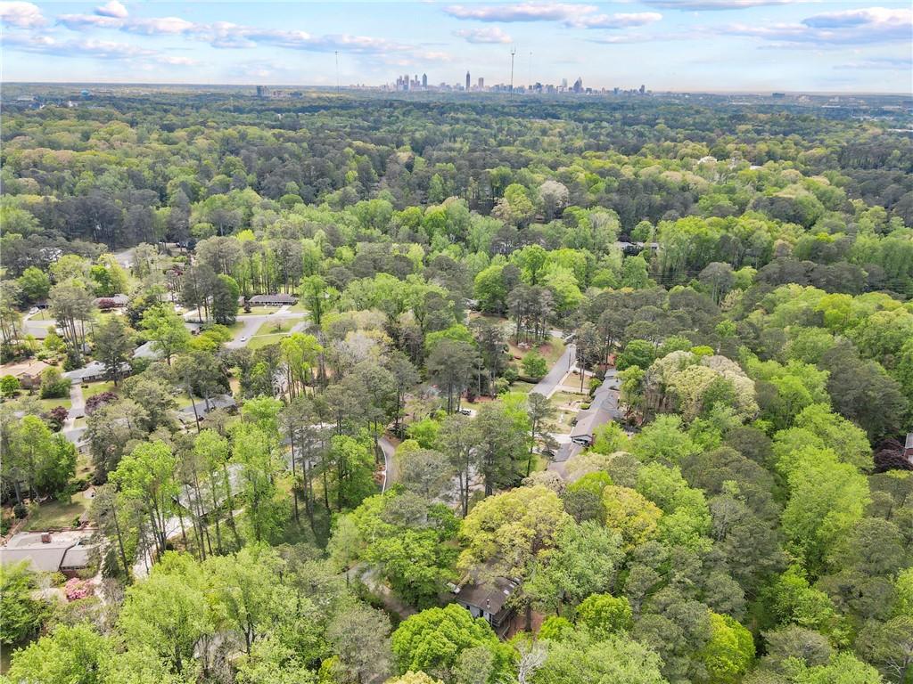 1725 Timberland Road, Atlanta, Georgia image 46