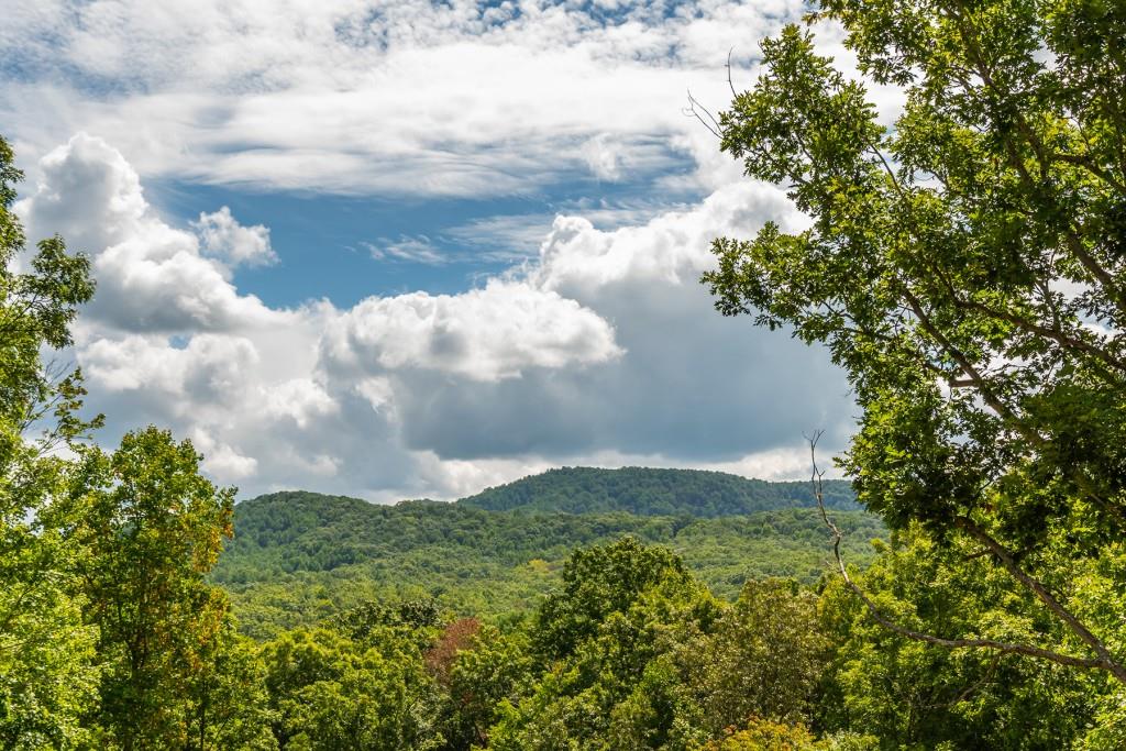 301 High Country Lane, Morganton, Georgia image 4