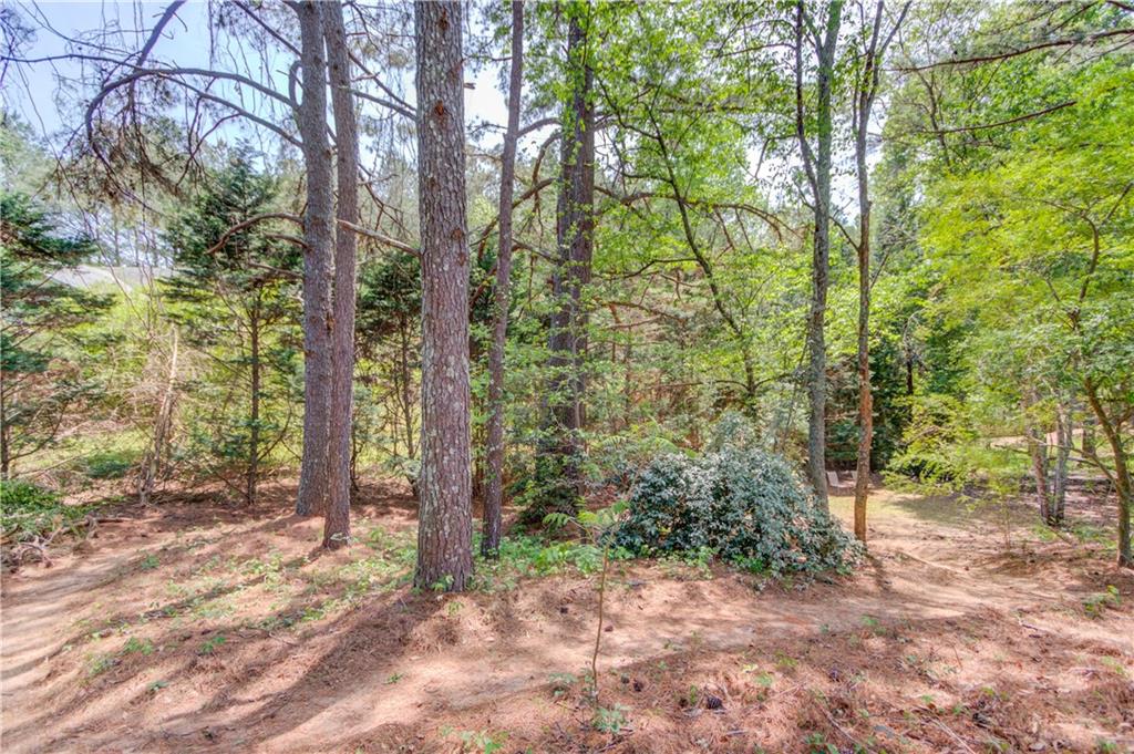 3095 Willow Park Drive, Dacula, Georgia image 49