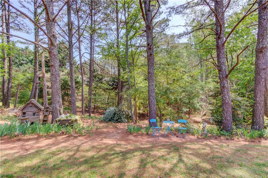 3095 Willow Park Drive, Dacula, Georgia image 46