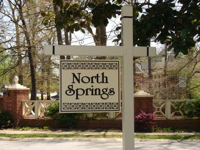 1643 North Springs Drive, Dunwoody, Georgia image 35