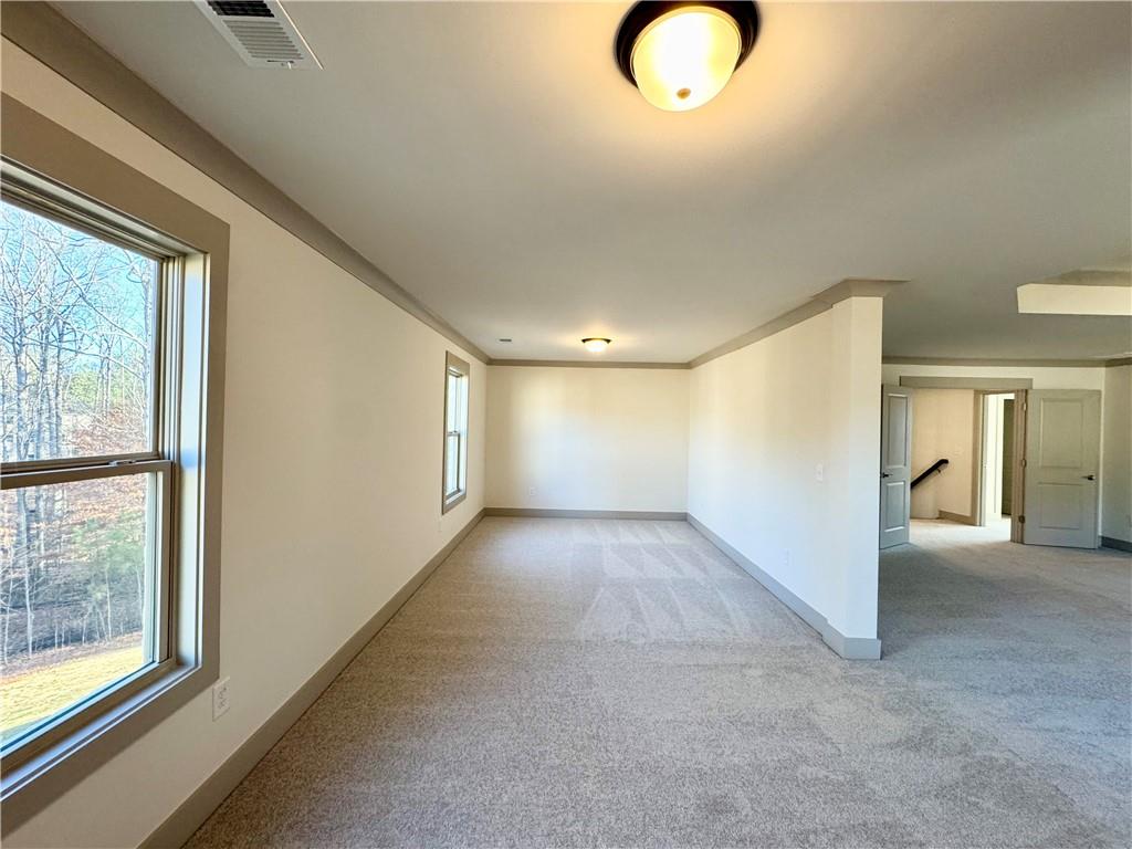 254 Lotus Lane, Covington, Georgia image 18
