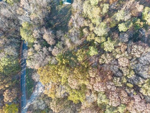 Unimproved Land in Fairmount GA 00 Scott Brown Road.jpg