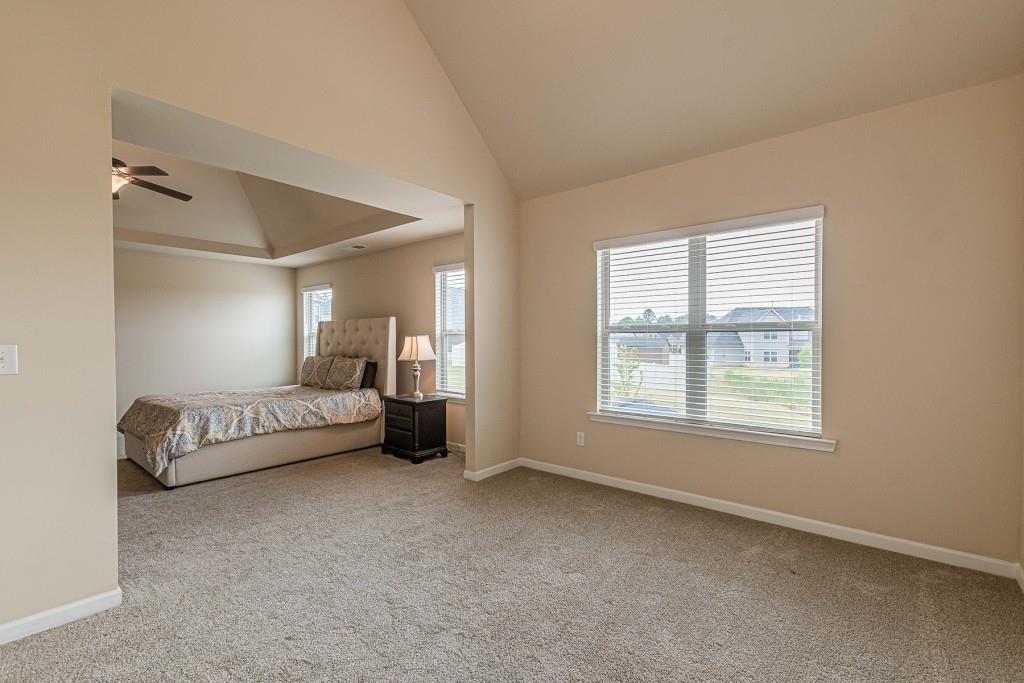 171 Osier Drive, Mcdonough, Georgia image 26