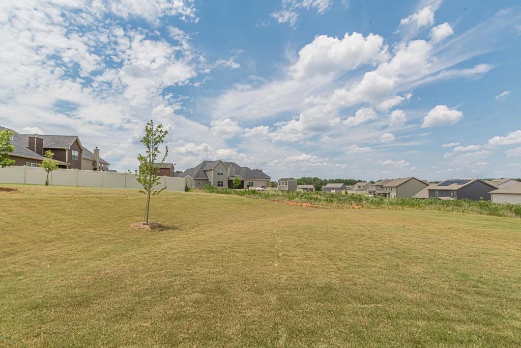 171 Osier Drive, Mcdonough, Georgia image 41