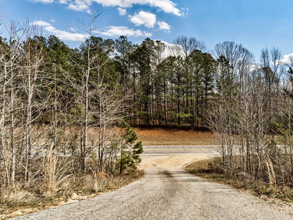 1395 Highway 61, Villa Rica, Georgia image 13