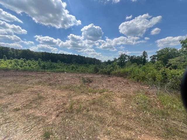 1395 Highway 61, Villa Rica, Georgia image 3