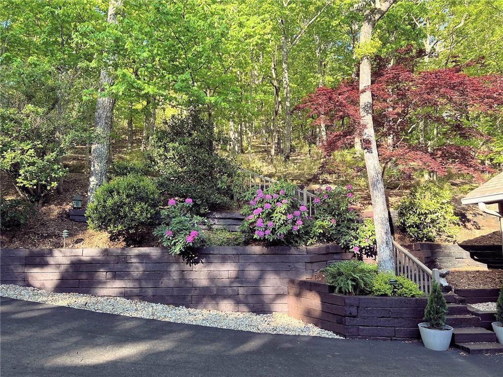 72 Wild Cherry Lane