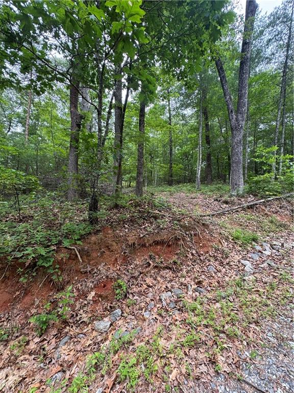 Nimblewill Creek Road, Dahlonega, Georgia image 1