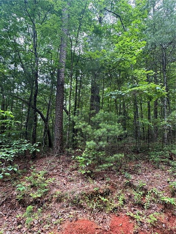 0 Nimblewill Creek Road