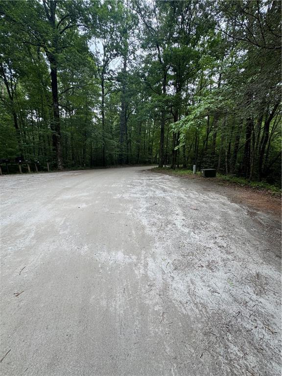 Nimblewill Creek Road, Dahlonega, Georgia image 9