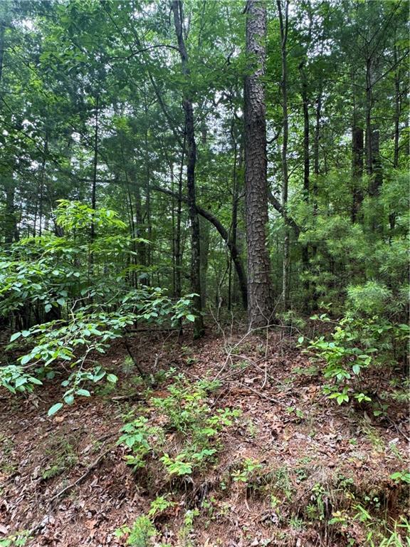 0 Nimblewill Creek Road