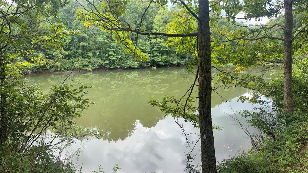 This 43.16 acres once was a rock quarry. It is a charming and well-maintained property features a beautiful pond, multiple building sites, natural charm and tranquility. Convenient access to Highway 515. If you're looking to build your dream home or create a family compound, this land offers the space, setting and potential to make it a reality. Don't miss your chance to own this unique tract where the beauty of nature meets endless opportunities.